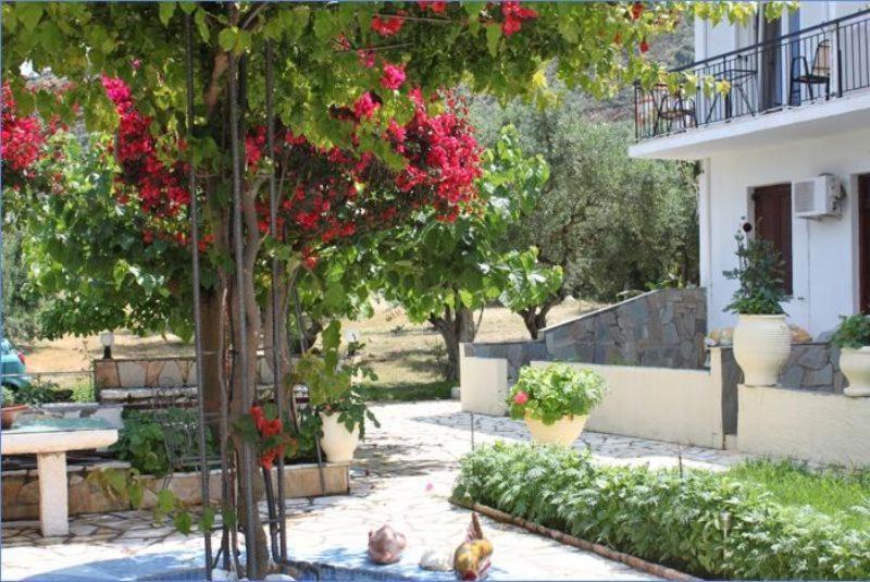 Ballas Apartments Agia Efimia Eksteriør bilde